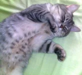 200820111014.webp