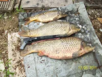 100_2158.webp