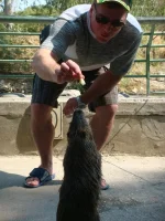 DSC03298.webp