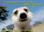 4b5d8dad-8395-6e41-678f-90e2e41b3cd2.jpeg