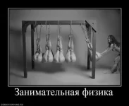 807213_zanimatelnaya-fizika.webp