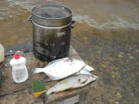 DSCN0980.webp
