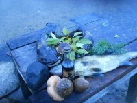 DSCN0988.webp