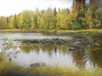 DSCN1022.webp