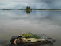 DSCN0990.webp