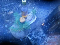 DSCN1039.webp