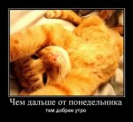 46a14554c653a0a3bb5cbb82160f2deda9f878a4_1.jpg