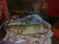 27092011013.webp