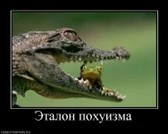 924181_etalon-pohyizma.webp