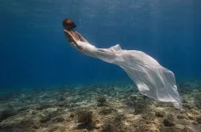 фри.webp