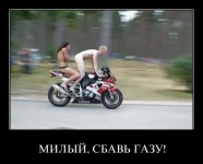 1317406088_002.webp