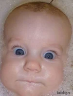1307529244_016.webp