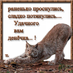 9795_400x400_41029449_Untitled2_1.png