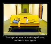 1300171322_010.webp