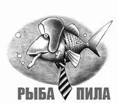15.webp