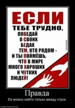 551655_pravda.thumbnail.webp