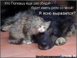полкашка.jpg