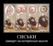 1292915542_025.webp