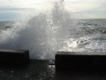 DSC00736.JPG