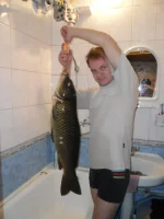 SAM_0085.webp