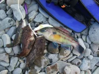 DSCF2782.webp