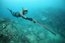 spear1.webp