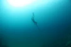 spear3.webp