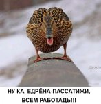 0a269c58c8ec653425289be97beb2d41.jpeg
