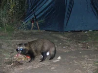 DSCN4709.webp