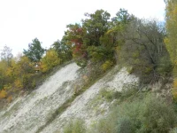 DSCN0984[1].webp