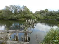 DSCN0972[1].webp