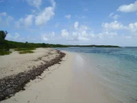 каталинита 019.webp
