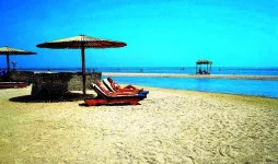 фри 2.webp