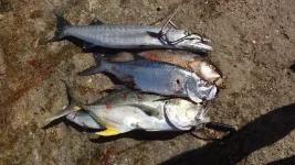 DSC00847[1].webp