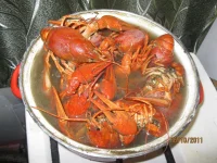 IMG_1249.webp