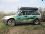 IMG_1225.jpg