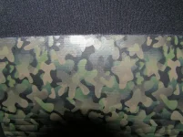 PA070192.webp