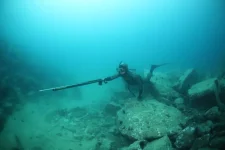 spear7.webp