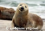 2557-otkrytki-s-dobrim-utrom.jpg