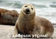 2557-otkrytki-s-dobrim-utrom.webp