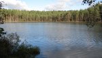 IMG_2311.jpg