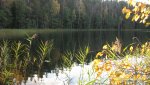 IMG_2349.jpg