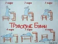 Рабочие будни.webp