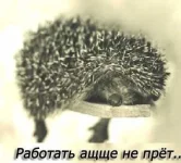 495c56628445.webp
