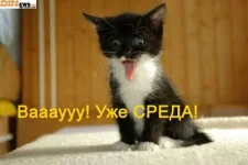 32383.webp