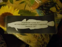 DSCN1078.webp