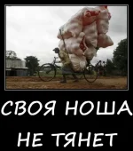 s3img_12398122_41222_0.webp