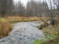 DSCN1090.webp