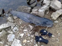 Фото2299.webp