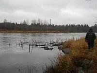 закол.webp